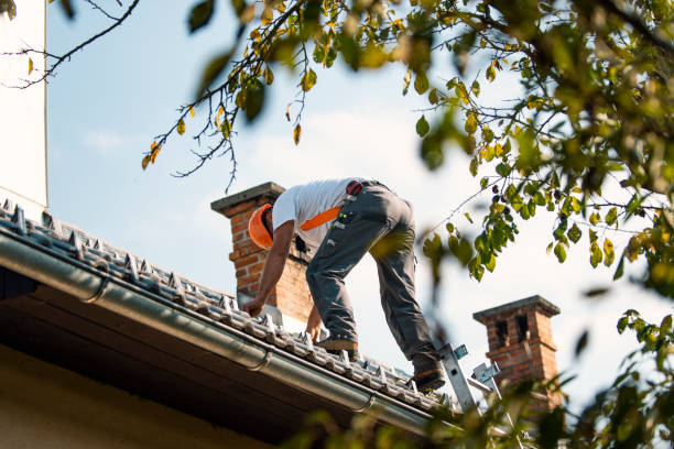 Best Roof Moss and Algae Removal  in Thiells, NY